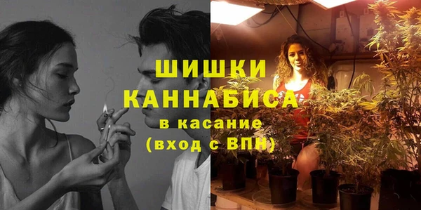 винт Богородицк