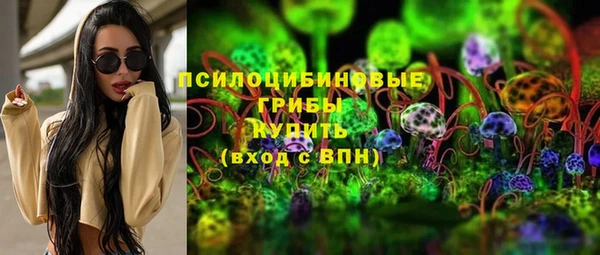 винт Богородицк